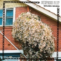 Surprise Chef Daylight Savings