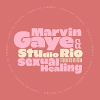 Marvin Gaye & Studio Rio Sexual Healing