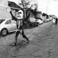 Rogers, Juju Pink Guitars, Spaceships N Voodoo Dolls