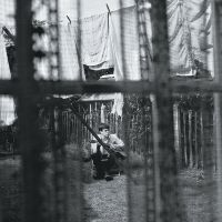 Mccartney, Paul Chaos And Creation In The Backyard