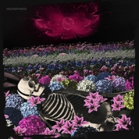 Dead Rabbitts Redefined