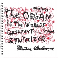 Charlemagne Palestine The Organ Is The Worlds Greatest Sy