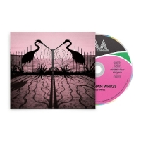 Afghan Whigs, The Soft Control