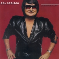 Orbison, Roy Laminar Flow -coloured-