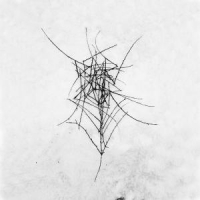 Dead Raven Choir Schmerzensgewalt