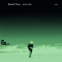 Torn, David Only Sky