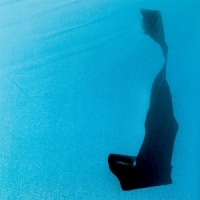 Unwed Sailor High Remembrance