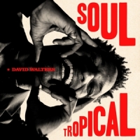 Walters, David Soul Tropical