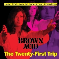 Various Brown Acid  The Twenty-first Trip