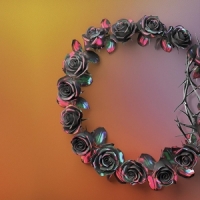 Rose Dual -coloured-