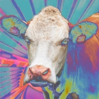 Eyes Of Others Eyes Of Others