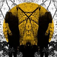 Austra Feel It Break