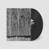 Pile Sunshine And Balance Beams