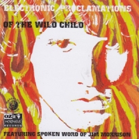 Morrison, Jim Electronic Proclamations Of The Wild Child