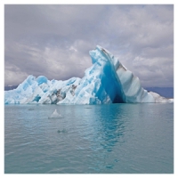 Surfer Blood Snowdonia (white)