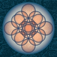 Embryo Auf Auf