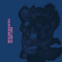 Palladino, Pino & Blake Mills That Wasn T A Dream