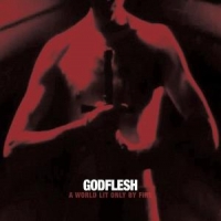 Godflesh A World Lit Only By Fire -coloured-