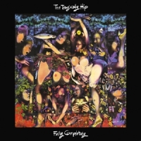 Tragically Hip, The Fully Completely