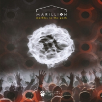 Marillion Marbles In The Park