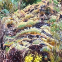 Swim Surreal In The Half Light