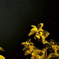 Peter, Thomas Changing Bodies