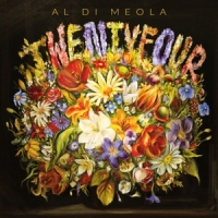 Di Meola, Al Twentyfour