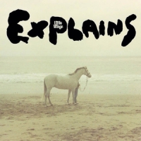 Little Wings Explains