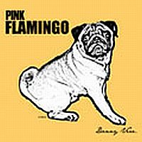 Vera, Danny Pink Flamingo -cd+dvd-