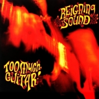 Reigning Sound Too Much Guitar