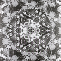 Atomic Forest Obsession '77