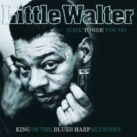 Walter, Little Hate To See You Go -coloured-