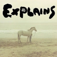 Little Wings Explains