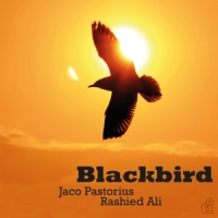 Pastorius, Jaco & Rashied Ali Blackbird -coloured-