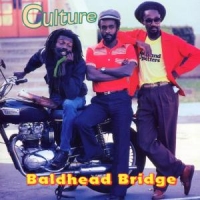 Culture Baldhead Bridge