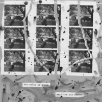 You Could Be A Cop/amid The Old Wou Split