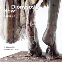 Dionysos Now! Adriano 5