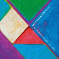 Hafez Modirzadeh Facets