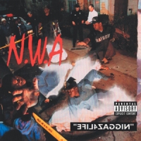 N.w.a. Efil4zaggin