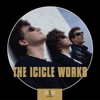 Icicle Works 5 Albums Box Set