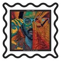 Toro Y Moi Anything In Return
