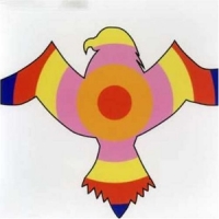 Vibracathedral Orchestra The Queen Of Guess