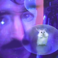 Bachratten Durch Dich Durch -coloured-