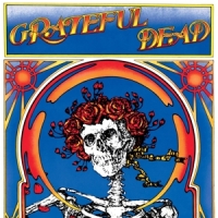 Grateful Dead Grateful Dead (skull & Roses)