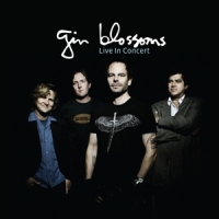 Gin Blossoms Live In Concert