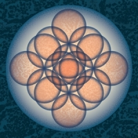 Embryo Auf Auf