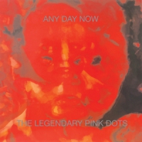 Legendary Pink Dots, The Any Day Now