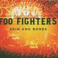 Foo Fighters Skin And Bones (live)