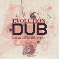 King Tubby The Evolution Of Dub Vol.1 (boxset)