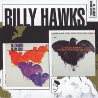 Hawks, Billy New Genius Of The Blues/heavy Soul!